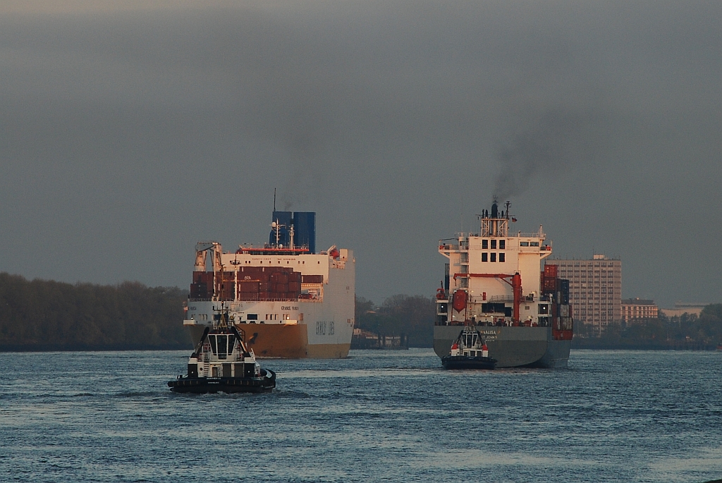 M/S BUSGIER 22 (2016); M/S GRANDE FRANCIA (2002) & M/S ANNALISA P (2007)