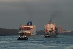 M/S BUGSIER (2016); M/S GRANDE FRANCIA (2002) & M/S ANNALISA P (2007)