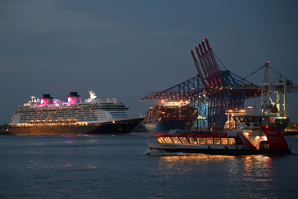 M/S DISNEY DREAM (2010) & M/S HAMBURGENSIE (2013)