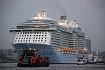 M/S ELBMEILE (2005); M/S QUANTUM OF THE SEAS (2014); M/S FALKENSTEIN (1992) & M/S TOLLERORT (2006)