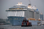 M/S ELBMEILE (2005); M/S QUANTUM OF THE SEAS (2014); M/S FALKENSTEIN (1992) & M/S TOLLERORT (2006)