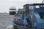 M/S FRIDTJOF NANSEN (2019) & M/S ELBPHILHARMONIE (2017)