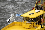 M/S FALKENSTEIN (1992)