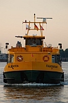 M/S FALKENSTEIN (1992)