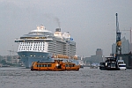 M/S QUANTUM OF THE SEAS (2014); M/S FALKENSTEIN (1992) & M/S TOLLERORT (2006)