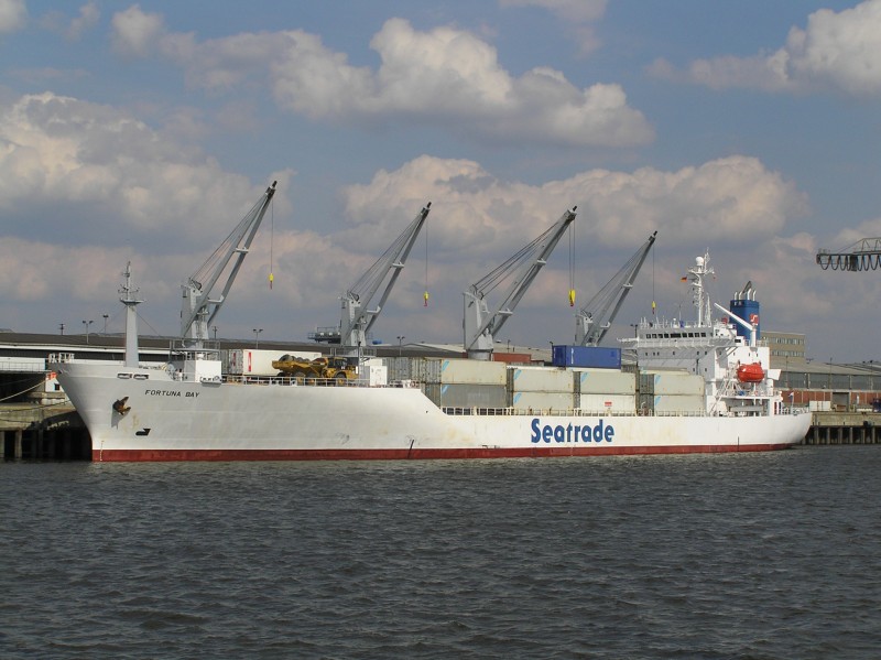 M/S Fortuna Bay (1993)