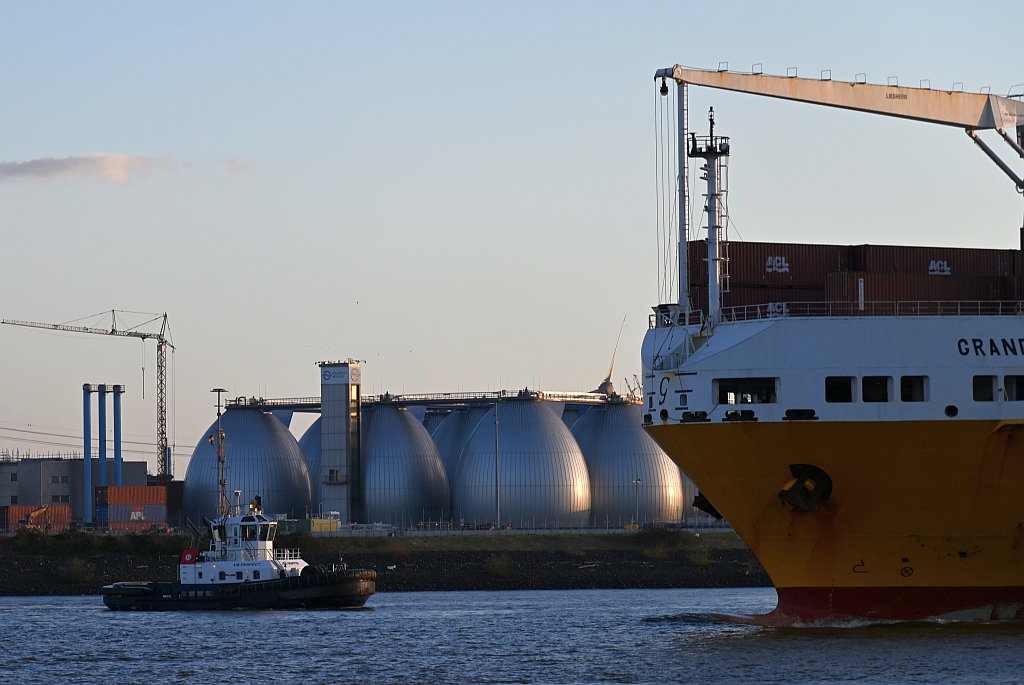 M/S VB PERFECT (2014) & M/S GRANDE FRANCIA (2002)
