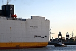 M/S GRANDE FRANCIA (2002) & M/S VB PERFECT (2014)