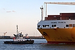 M/S VB RASANT (2016) & M/S GRANDE FRANCIA (2002)