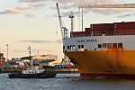 M/S VB RASANT (2016) & M/S GRANDE FRANCIA (2002)