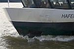 M/S HAFENCITY (1999)