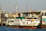 M/S MAX BRAUER (1980)