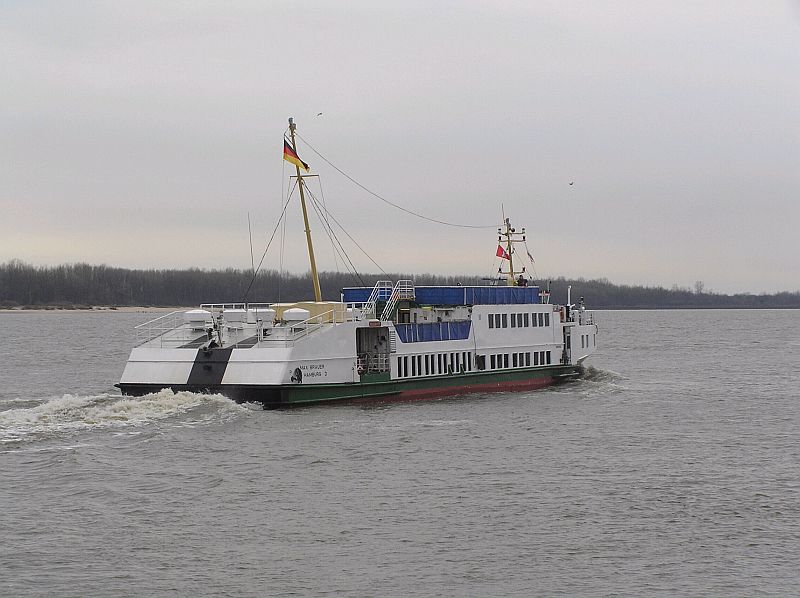 M/S Max Brauer (1980)