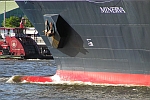 M/S MINVERVA (1996)