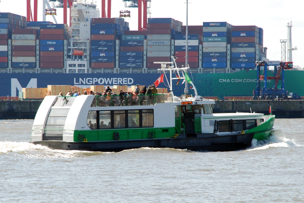 M/S NEUENFELDE (1991)
