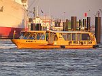 M/S RAFIKI (2002)