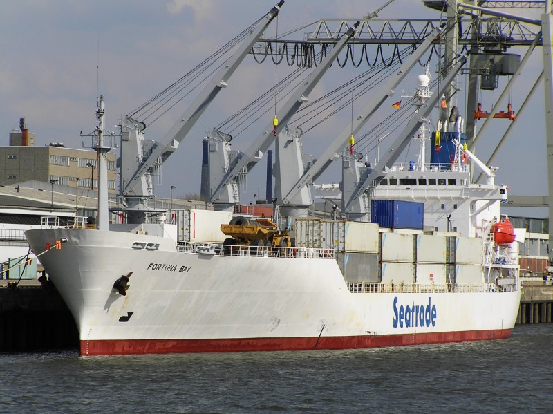 M/S FORTUNA BAY (1993)