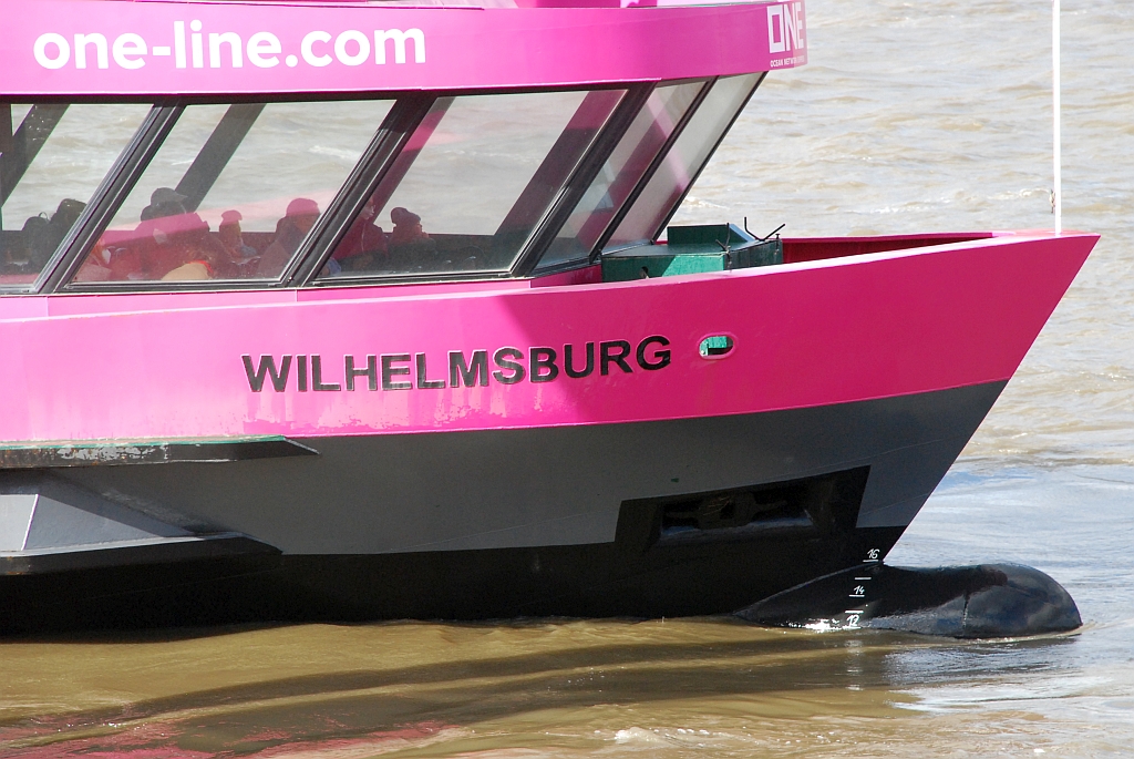 M/S WILHELMSBURG (2008)